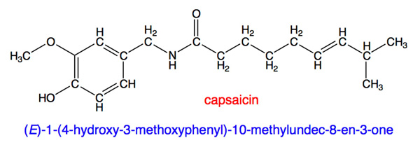the capsaicin molecule