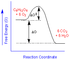 free energy diagram