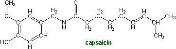 the capsaicin molecule