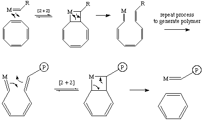 a polymer chain biting itself