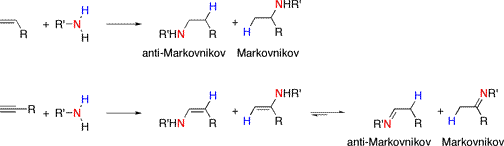 Hydroamination selectivity