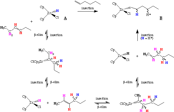 the process in detail